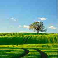 自﻿动​Docker系﻿统﻿